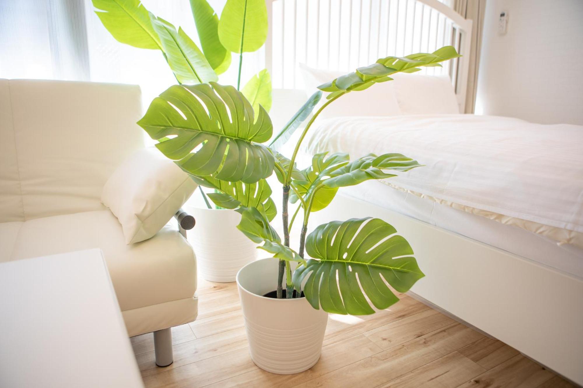 Komagome Cozy Room Prefektura Tokio Pokoj fotografie